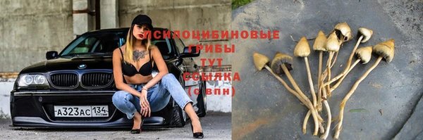 a pvp Арсеньев