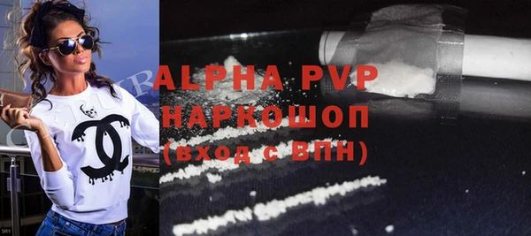 индика Алексин