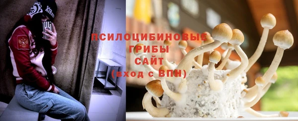 a pvp Арсеньев