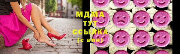 индика Алексин