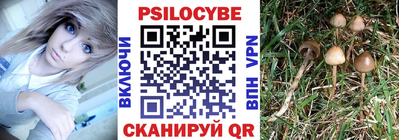 закладки Волхов Галлюциногенные грибы Magic Shrooms