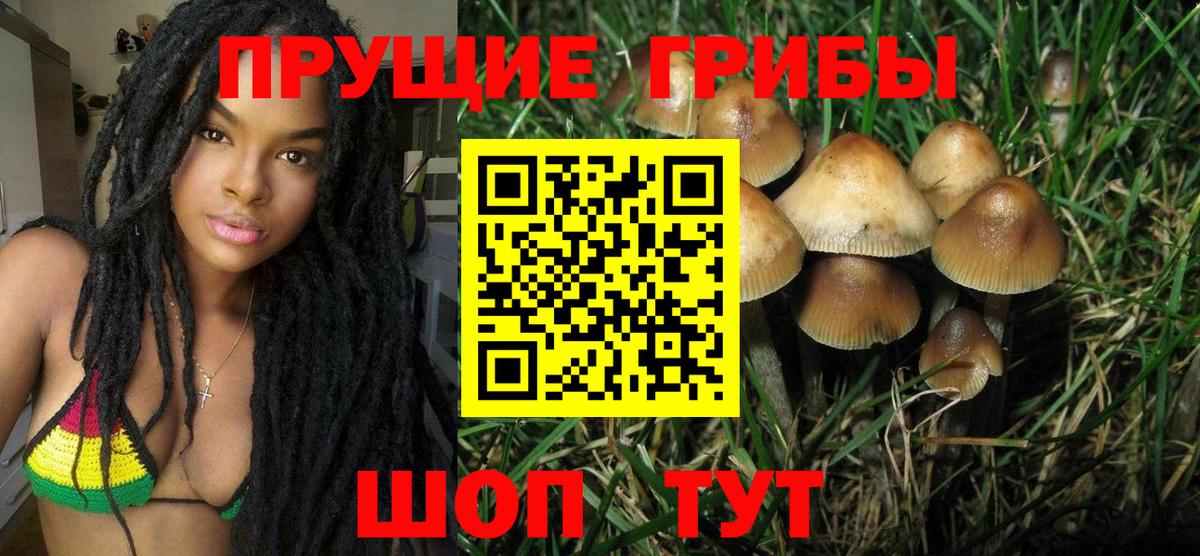 Псилоцибиновые грибы мухоморы  Вход с VPN  Псилоцибиновые грибы ЛСД  Волхов 