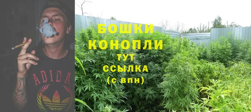 Марихуана OG Kush  Волхов 